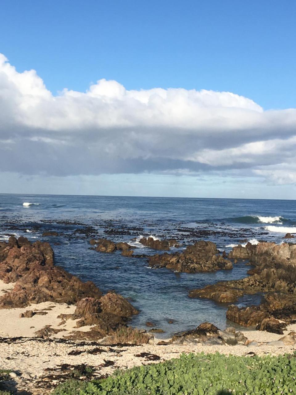 Ferienwohnung Royal Albatros Gansbaai Exterior foto