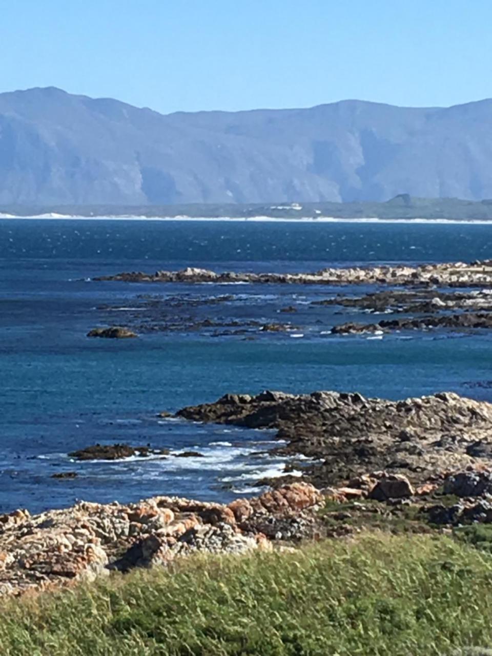 Ferienwohnung Royal Albatros Gansbaai Exterior foto